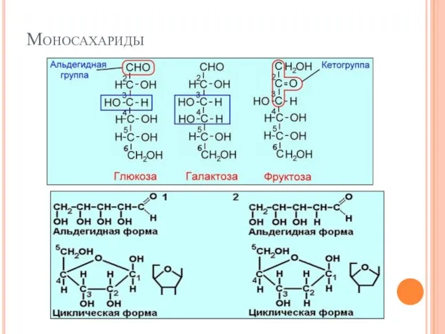 Моносахариды