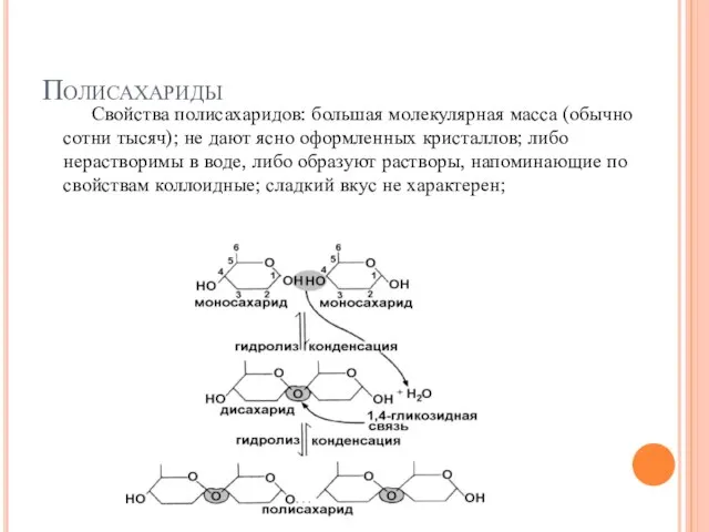 Полисахариды Свойства полисахаридов: большая молекулярная масса (обычно сотни тысяч); не дают ясно