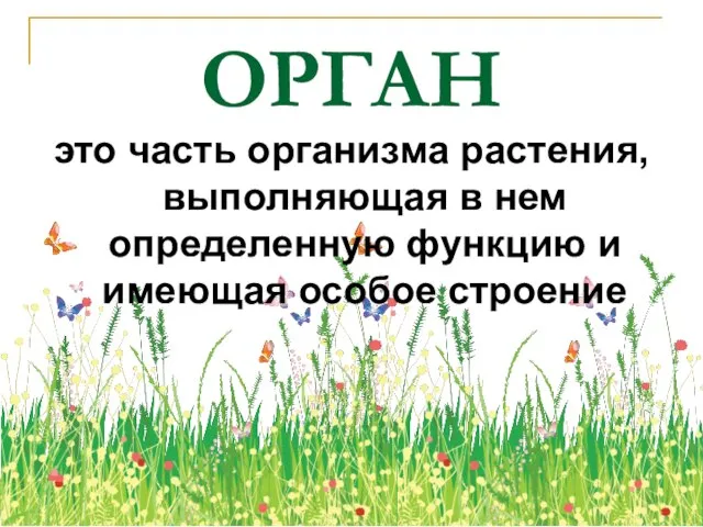 ОРГАН это часть организма растения, выполняющая в нем определенную функцию и имеющая особое строение