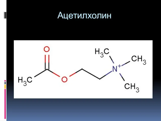 Ацетилхолин