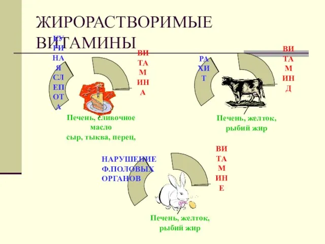 ЖИРОРАСТВОРИМЫЕ ВИТАМИНЫ НАРУШЕНИЕ Ф.ПОЛОВЫХ ОРГАНОВ