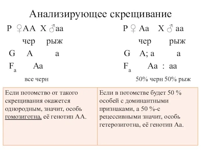 Анализирующее скрещивание Р ♀АА X ♂аa Р ♀ Аа X ♂ аа