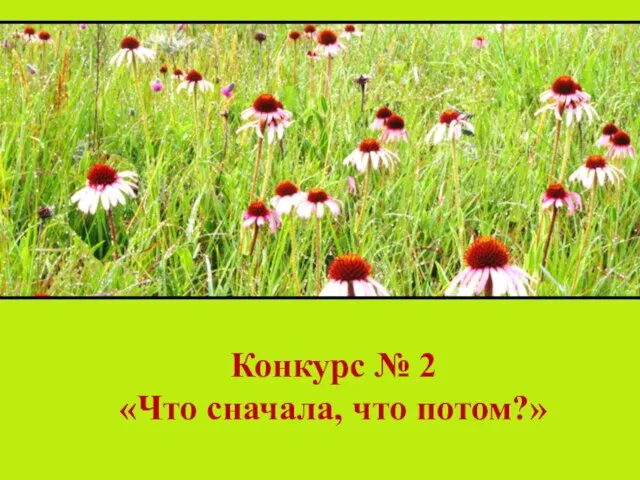 Конкурс № 2 «Что сначала, что потом?»