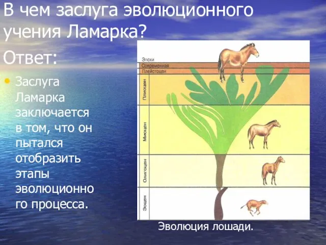 В чем заслуга эволюционного учения Ламарка? Ответ: Заслуга Ламарка заключается в том,