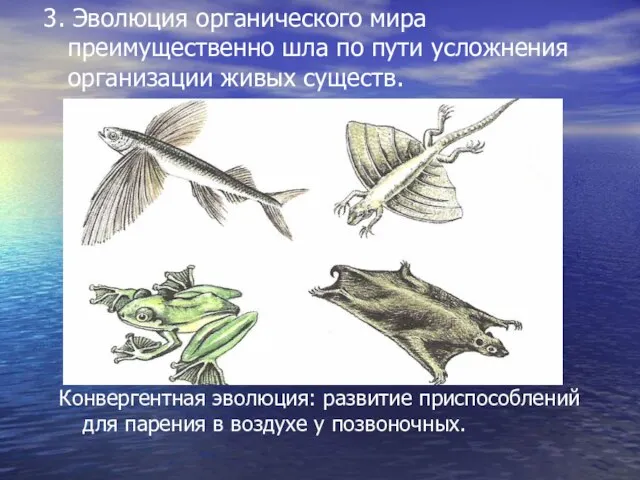 3. Эволюция органического мира преимущественно шла по пути усложнения организации живых существ.
