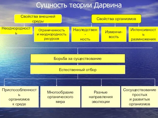 Сущность теории Дарвина Свойства внешней среды Свойства организмов Неоднородность Ограниченность и неоднородность