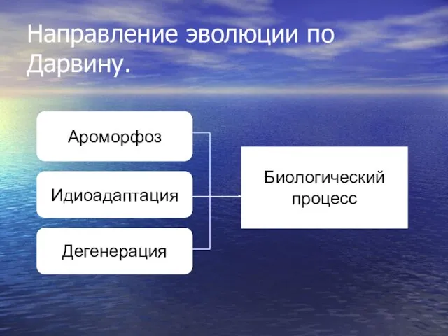 Направление эволюции по Дарвину. Ароморфоз Идиоадаптация Дегенерация Биологический процесс