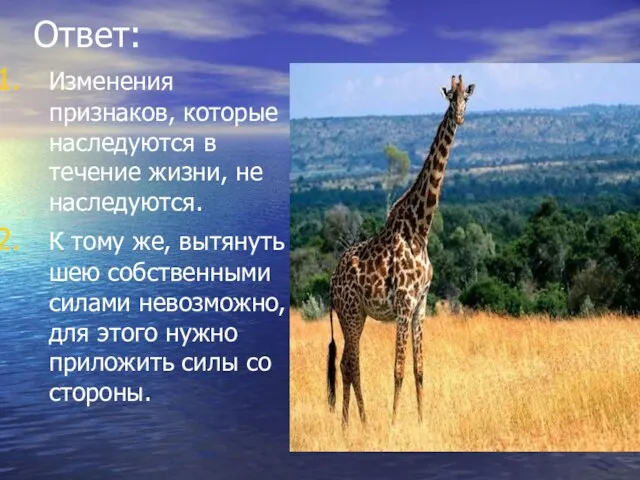 Ответ: Изменения признаков, которые наследуются в течение жизни, не наследуются. К тому