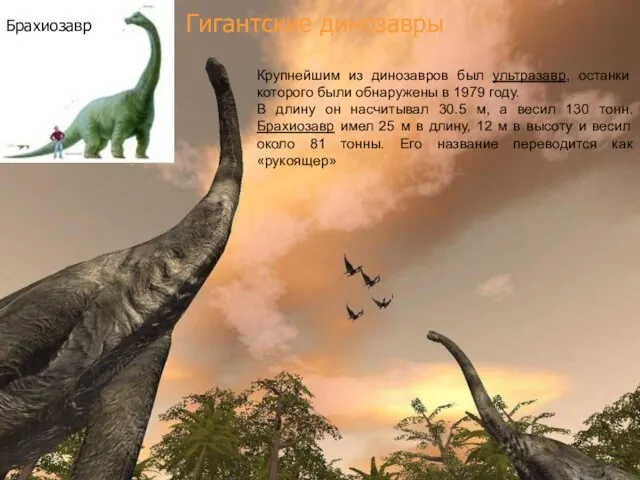 Гигантские динозавры Крупнейшим из динозавров был ультразавр, останки которого были обнаружены в