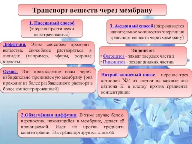 Транспорт веществ через мембрану 1. Пассивный способ (энергия практически не затрачивается) 3.