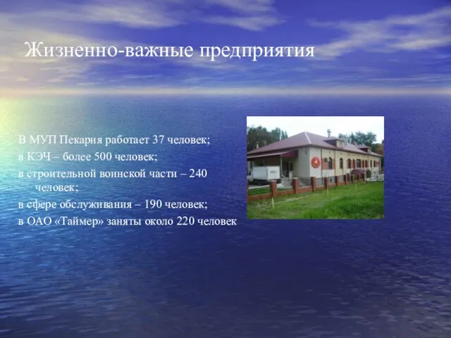 Жизненно-важные предприятия В МУП Пекарня работает 37 человек; в КЭЧ – более