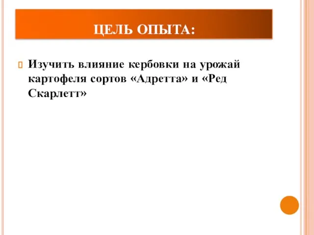 ЦЕЛЬ ОПЫТА: Изучить влияние кербовки на урожай картофеля сортов «Адретта» и «Ред Скарлетт»