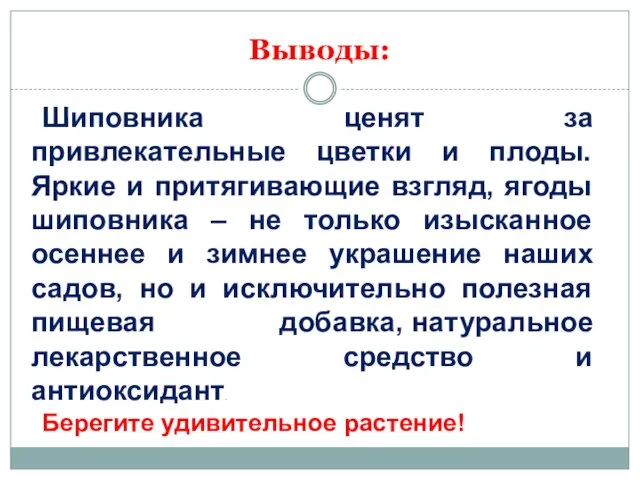 Выводы: Шиповника ценят за привлекательные цветки и плоды. Яркие и притягивающие взгляд,