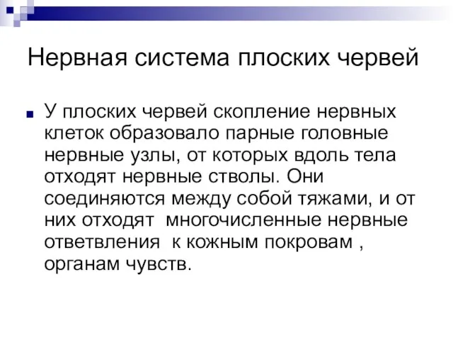 Нервная система плоских червей У плоских червей скопление нервных клеток образовало парные