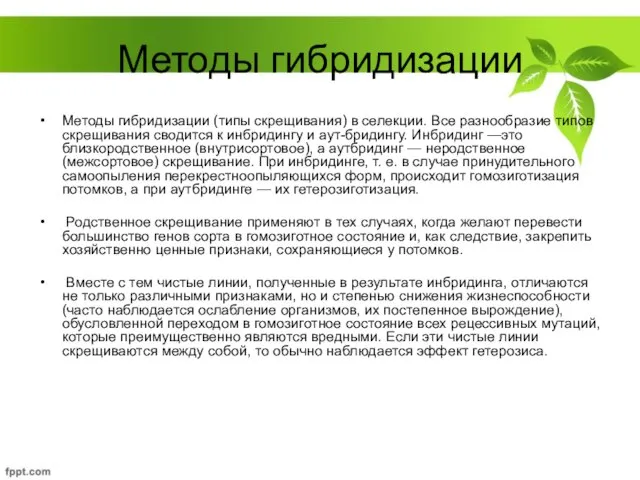 Методы гибридизации Методы гибридизации (типы скрещивания) в селекции. Все разнообразие типов скрещивания