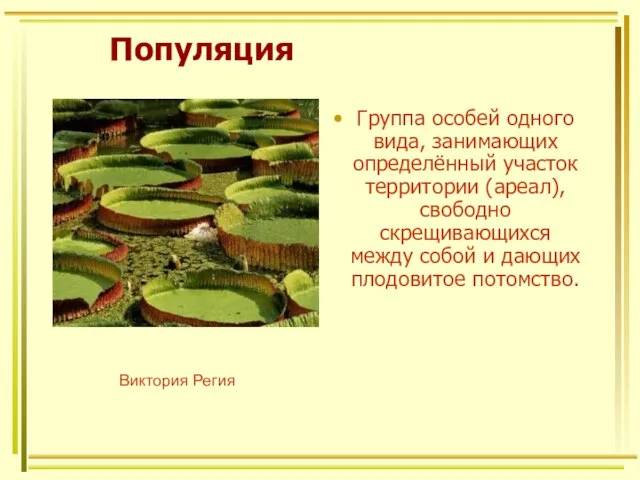 Популяция Группа особей одного вида, занимающих определённый участок территории (ареал), свободно скрещивающихся