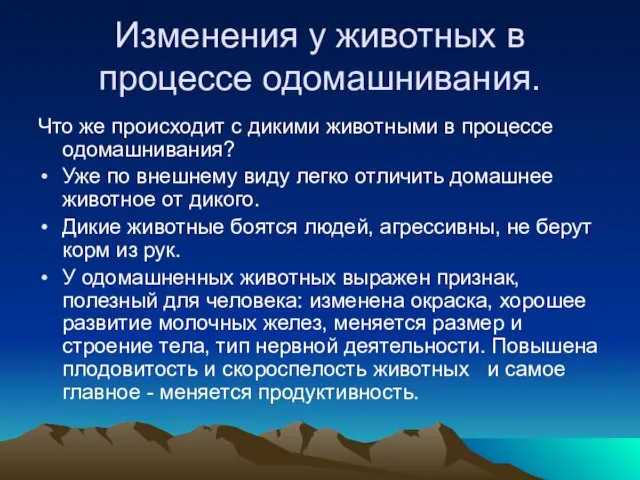 Изменения у животных в процессе одомашнивания. Что же происходит с дикими животными