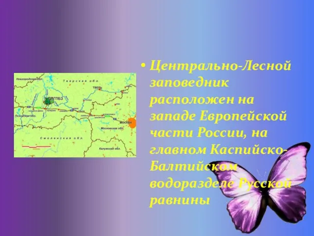 Центрально-Лесной заповедник расположен на западе Европейской части России, на главном Каспийско-Балтийском водоразделе Русской равнины