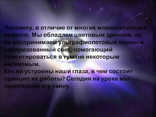 Человеку, в отличие от многих млекопитающих, повезло. Мы обладаем цветовым зрением, но