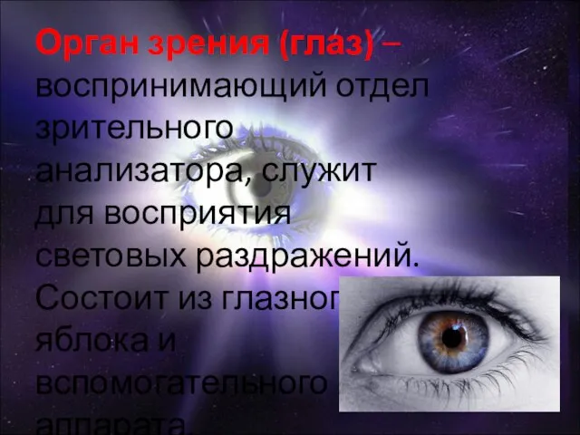 Орган зрения (глаз) –воспринимающий отдел зрительного анализатора, служит для восприятия световых раздражений.