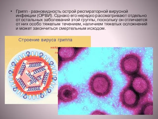 Грипп - разновидность острой респираторной вирусной инфекции (ОРВИ). Однако его нередко рассматривают