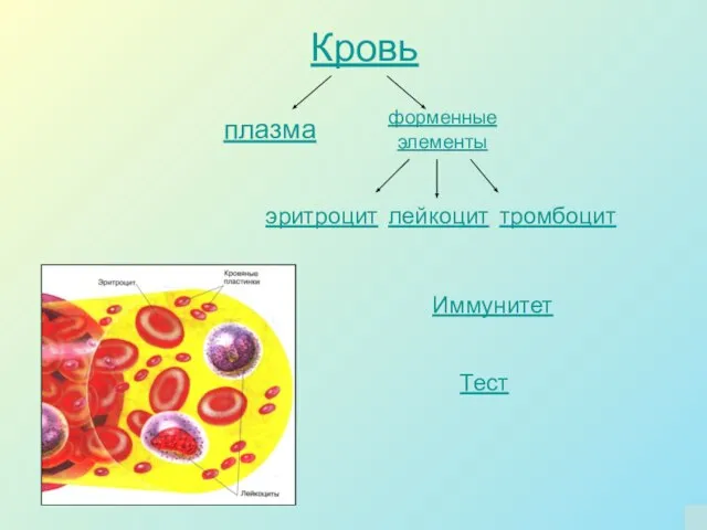 Кровь плазма форменные элементы эритроцит лейкоцит тромбоцит Тест Иммунитет