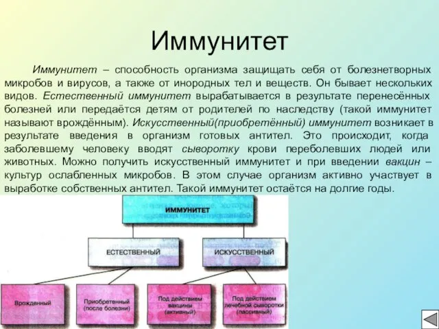 Иммунитет Иммунитет – способность организма защищать себя от болезнетворных микробов и вирусов,