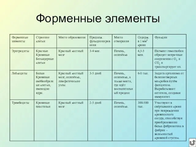 Форменные элементы