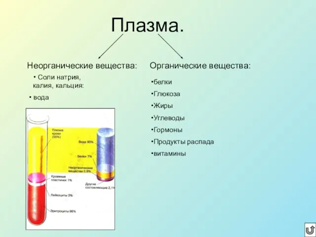 Плазма. Неорганические вещества: Органические вещества: белки Глюкоза Жиры Углеводы Гормоны Продукты распада