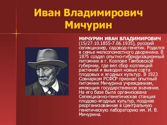 Иван Владимирович Мичурин МИЧУРИН ИВАН ВЛАДИМИРОВИЧ (15/27.10.1855-7.06.1935), русский селекционер, садовод-генетик. Родился в