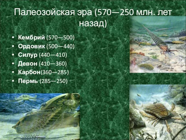Палеозойская эра (570—250 млн. лет назад) Кембрий (570—500) Ордовик (500—440) Силур (440—410)