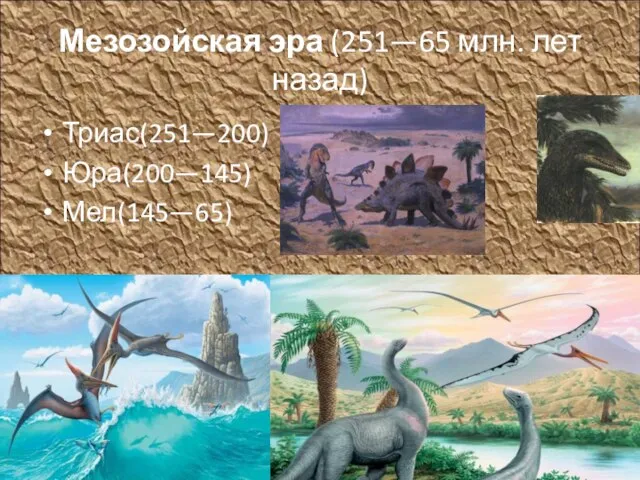 Мезозойская эра (251—65 млн. лет назад) Триас(251—200) Юра(200—145) Мел(145—65)