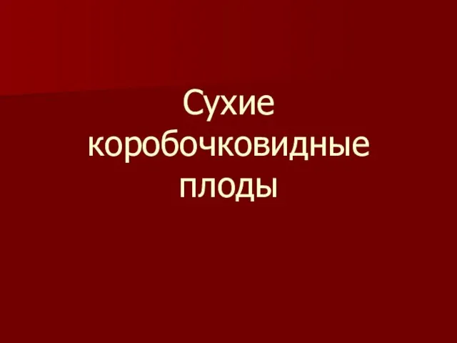 Сухие коробочковидные плоды