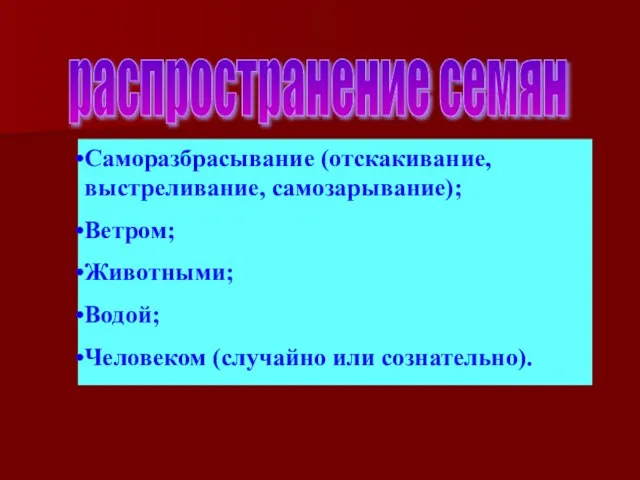 распространение семян Саморазбрасывание (отскакивание, выстреливание, самозарывание); Ветром; Животными; Водой; Человеком (случайно или сознательно).