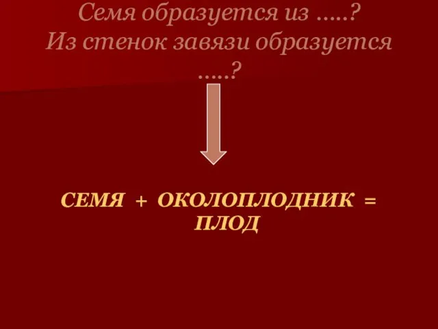 Семя образуется из …..? Из стенок завязи образуется …..? СЕМЯ + ОКОЛОПЛОДНИК = ПЛОД