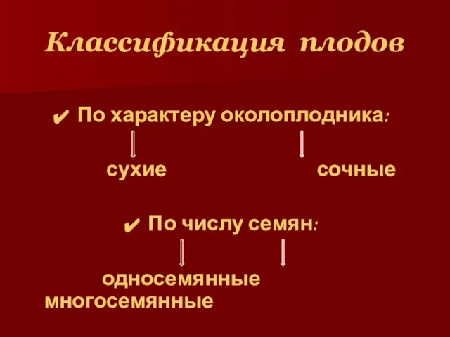 Классификация плодов По характеру околоплодника: сухие сочные По числу семян: односемянные многосемянные