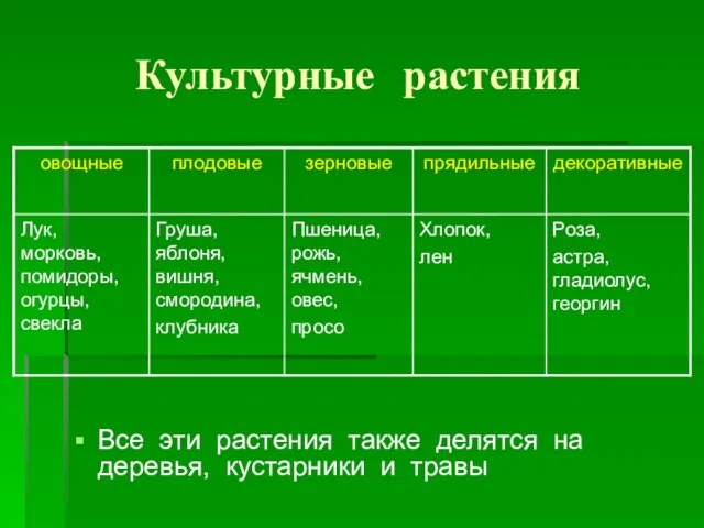 Культурные растения Все эти растения также делятся на деревья, кустарники и травы