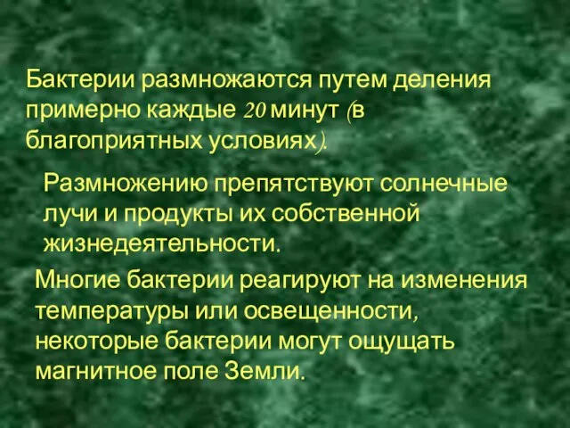 По способу дыхания бактерии делятся на аэробов (большинство бактерий) и анаэробов (возбудители