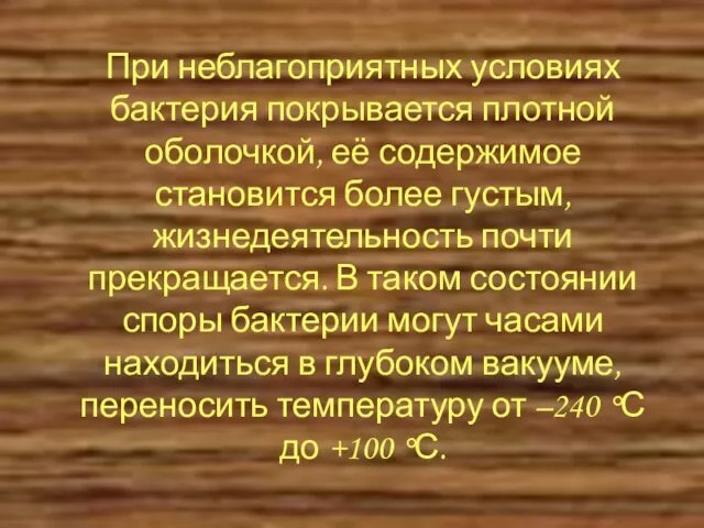 При неблагоприятных условиях бактерия покрывается плотной оболочкой, её содержимое становится более густым,