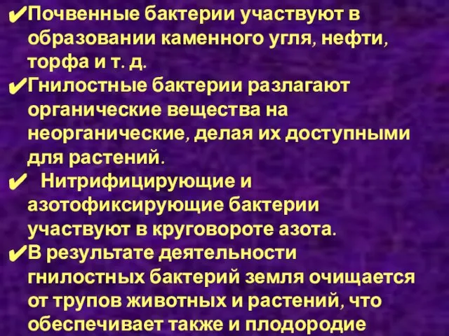 Значение бактерий в природе Почвенные бактерии участвуют в образовании каменного угля, нефти,