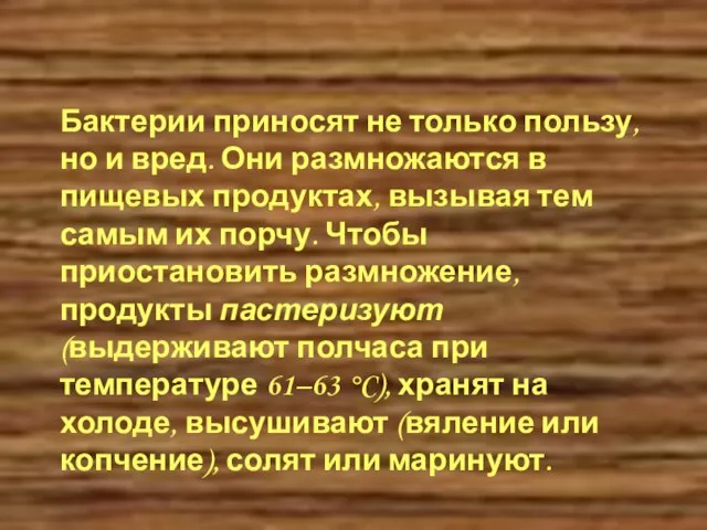 Бактерии приносят не только пользу, но и вред. Они размножаются в пищевых