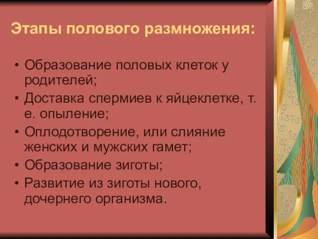 Этапы полового размножения: Образование половых клеток у родителей; Доставка спермиев к яйцеклетке,