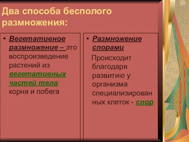 Два способа бесполого размножения: Вегетативное размножение – это воспроизведение растений из вегетативных