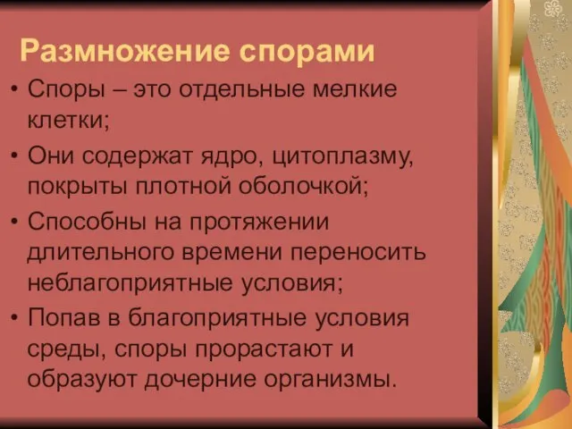 Размножение спорами Споры – это отдельные мелкие клетки; Они содержат ядро, цитоплазму,