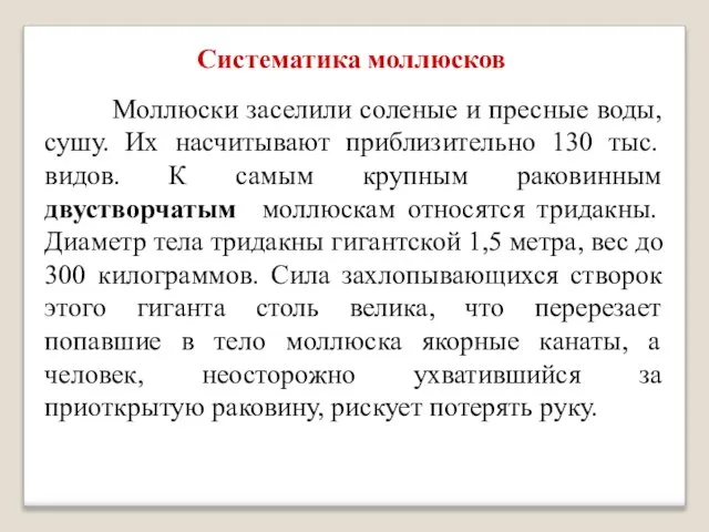 Систематика моллюсков Моллюски заселили соленые и пресные воды, сушу. Их насчитывают приблизительно