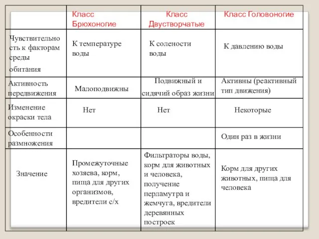 Класс Брюхоногие Класс Двустворчатые Класс Головоногие Активность передвижения Малоподвижны Подвижный и сидячий