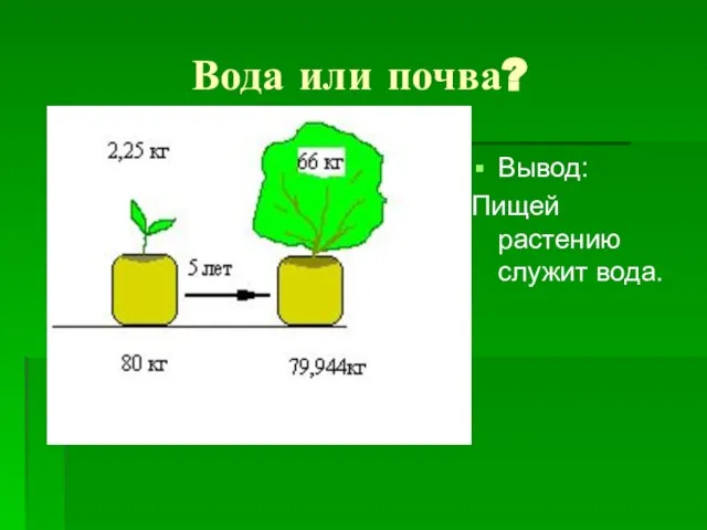 Вода или почва? Вывод: Пищей растению служит вода.