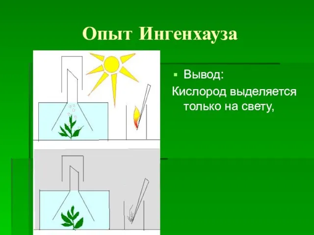 Опыт Ингенхауза Вывод: Кислород выделяется только на свету,