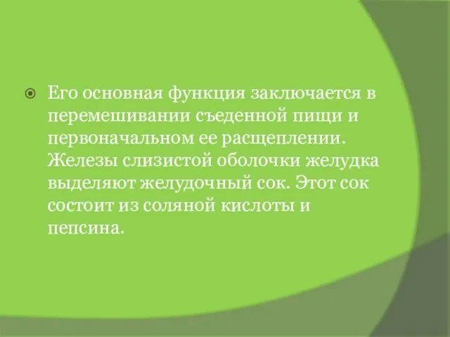 Его основная функция заключается в перемешивании съеденной пищи и первоначальном ее расщеплении.