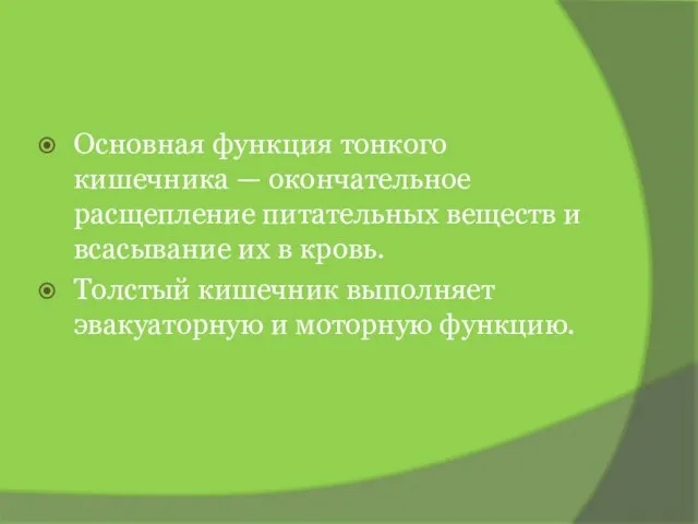 Основная функция тонкого кишечника — окончательное расщепление питательных веществ и всасывание их